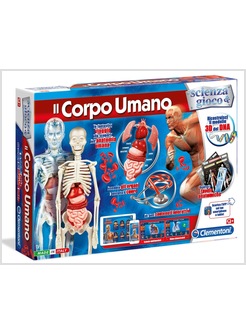 IL CORPO UMANO