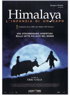 HIMALAYA - L'INFANZIA DI UN CAPO DVD