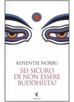 SEI SICURO DI NON ESSERE BUDDHISTA?