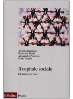 CAPITALE SOCIALE ISTRUZIONI PER L'USO (IL)