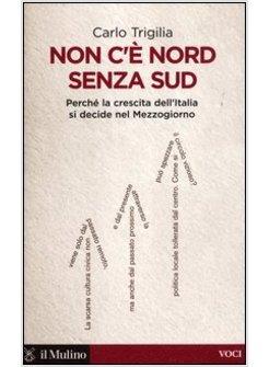 NON C'E' NORD SENZA SUD. PERCHE' LA CRESCITA DELL'ITALIA SI DECIDE NEL