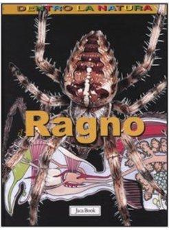 RAGNO (IL)