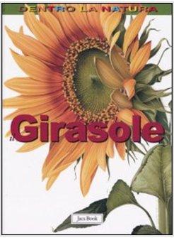 GIRASOLE (IL)