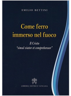 COME FERRO IMMERSO NEL FUOCO. IL CRISTO "SIMUL VIATOR ET COMPREHENSOR"