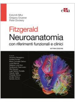 NEUROANATOMIA CON RIFERIMENTI FUNZIONALI E CLINICI