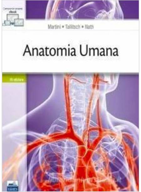 ANATOMIA UMANA