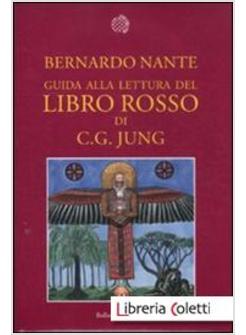 Guida Alla Lettura Del Libro Rosso Di C. G. Jung - Nante Bernardo - Bollati  Boringhieri