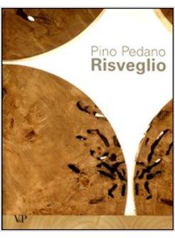 RISVEGLIO. CON DVD. TESTO INGLESE A FRONTE