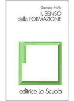 SENSO DELLA FORMAZIONE (IL)