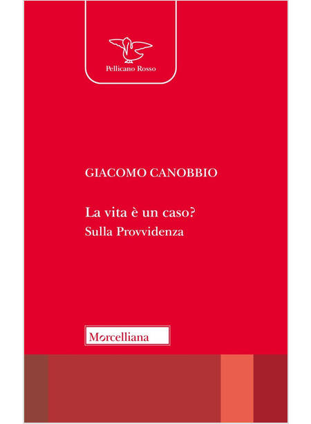 LA VITA E' UN CASO? SULLA PROVVIDENZA