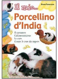 MIO PORCELLINO D'INDIA (IL)