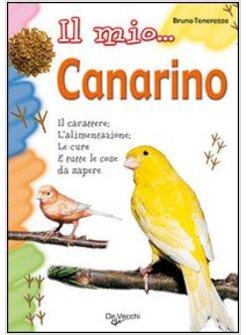 MIO CANARINO (IL)