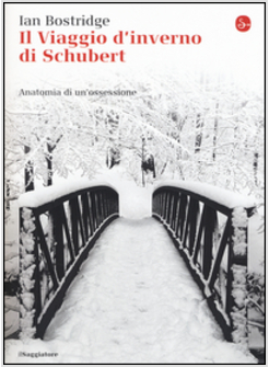 VIAGGIO D'INVERNO DI SCHUBERT. ANATOMIA DI UN OSSESSIONE (IL)