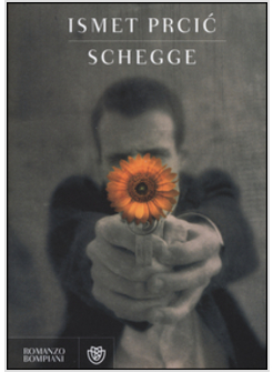 SCHEGGE