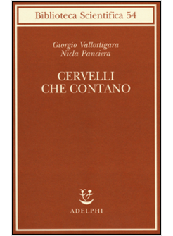 CERVELLI CHE CONTANO