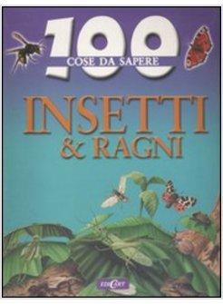 INSETTI RAGNI