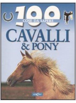 CAVALLI PONY