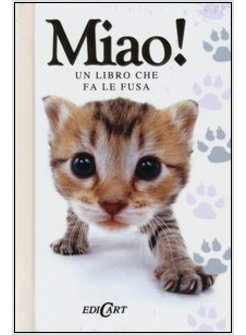 MIAO! UN LIBRO CHE FA LE FUSA