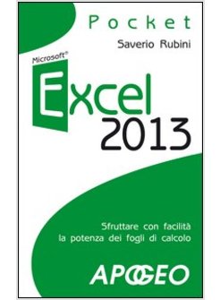 EXCEL 2013