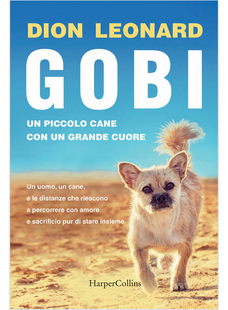 GOBI. UN PICCOLO CANE CON UN GRANDE CUORE