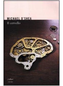 IL CERVELLO 