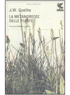 LA METAMORFOSI DELLE PIANTE