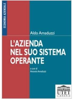 AZIENDA NEL SUO SISTEMA OPERANTE (L')