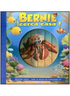 BERNIE CERCA CASA