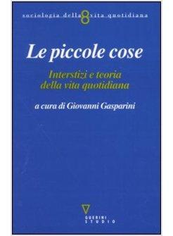 PICCOLE COSE INTERSTIZI E TEORIA DELLA VITA QUOTIDIANA (LE)