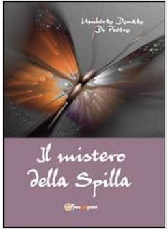 MISTERO DELLA SPILLA (IL)