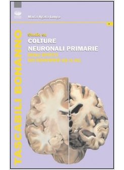 STUDIO SU COLTURE NEURONALI PRIMARIE DEGLI EFFETTI DEI MONOMERI (1-42)