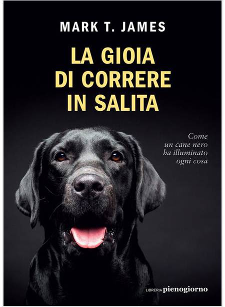 LA GIOIA DI CORRERE IN SALITA COME UN CANE NERO HA ILLUMINATO OGNI COSA 